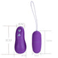 Egg Vibrator